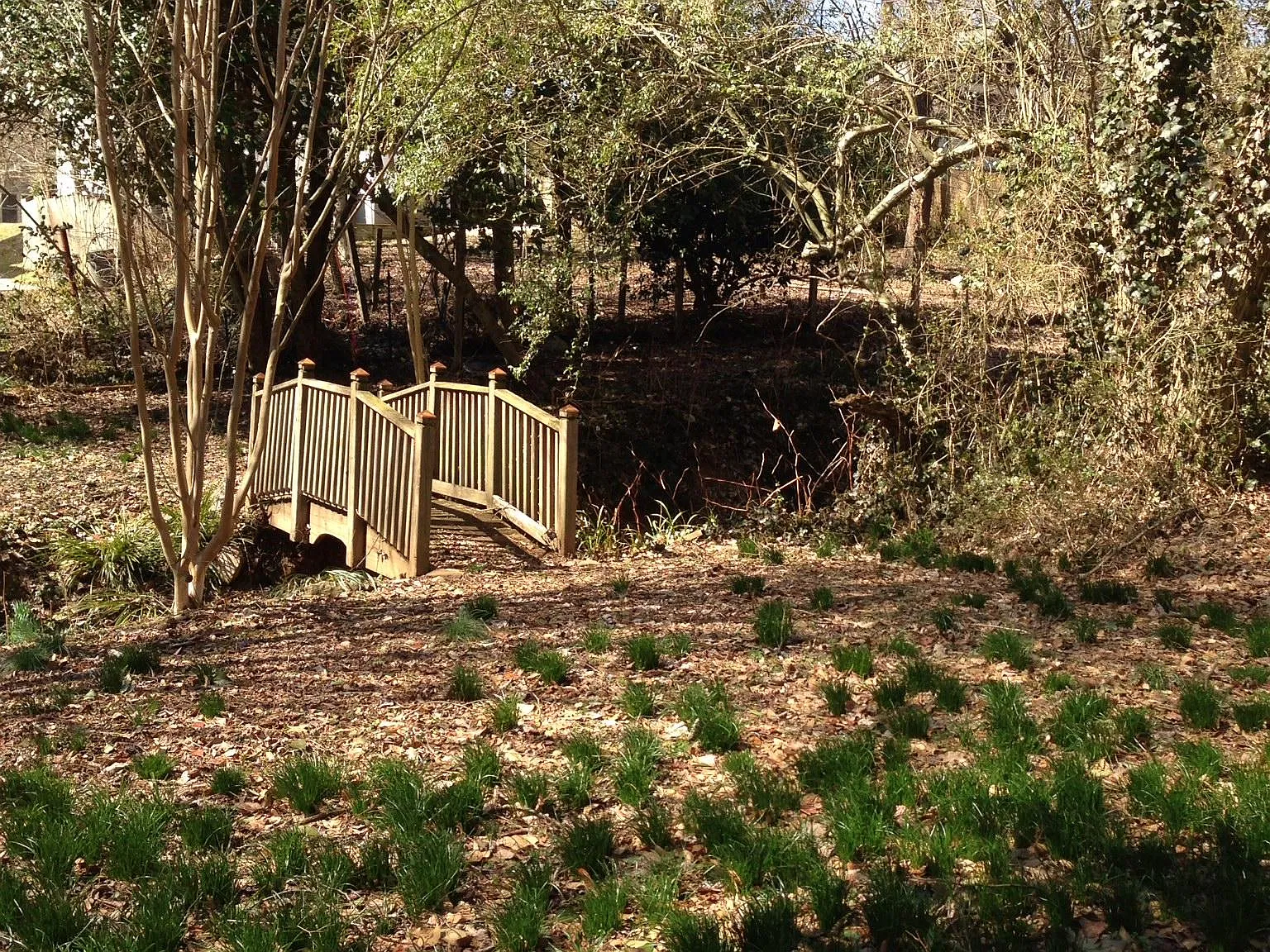 3 bed, 987 sqft, $1,600 — Photo 4