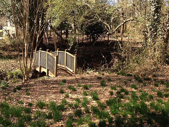 Large rear yard