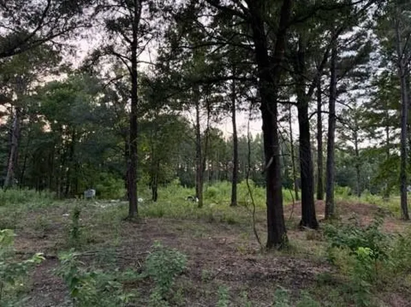 120 Pioneer Trl Lot 110A-110B, Livingston, TX 77351