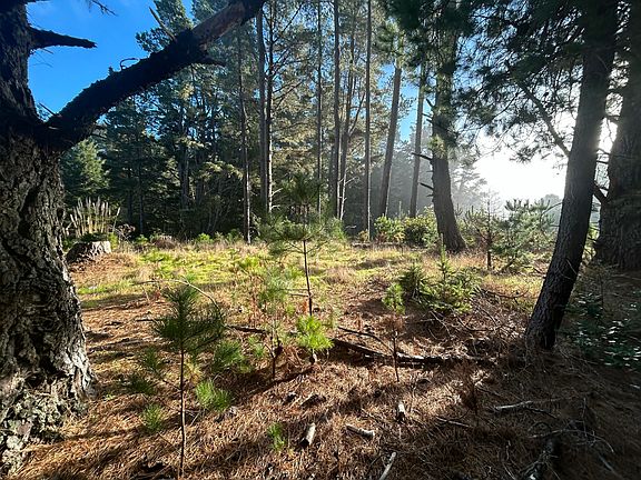 4th image of 9020 Shelter Cove Rd
