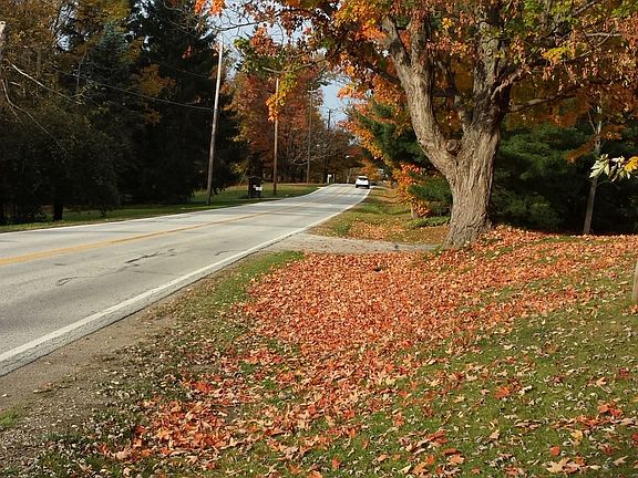 Taylor May road