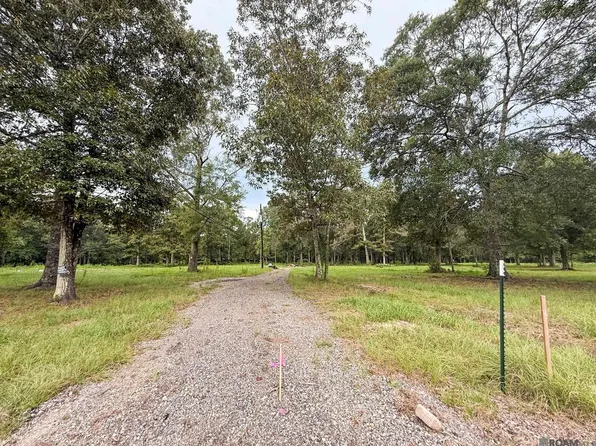 20175 Perrilloux Rd, Livingston, LA 70754