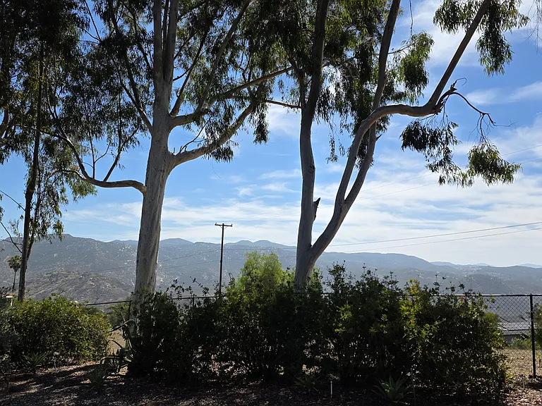 2740 Mountain View Dr #A — Photo 33