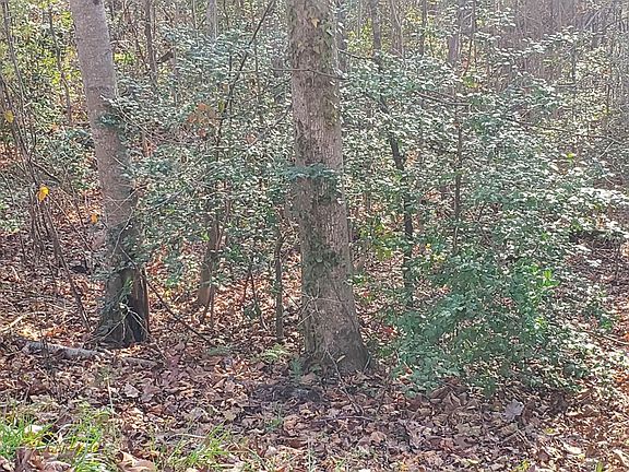 2nd image of 11 Town Mountain Dr