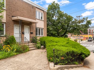 120 Wooster Street APT V, New Haven, CT, 06511