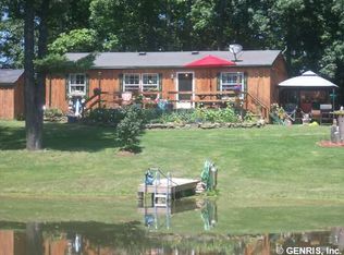 7711 Webster Crossing Rd, Springwater, NY 14560