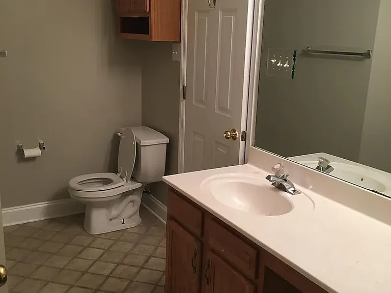 10602 Alysun Nikole Dr — Photo 15