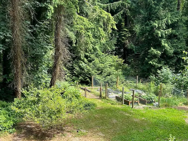 Fenced main garden with automatic watering