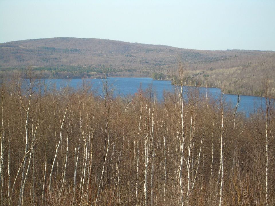 view from house