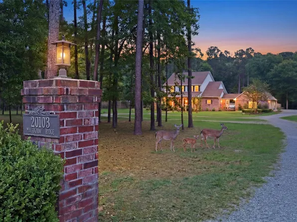 20103 Mahogany Ridge Dr, Magnolia, TX 77355
