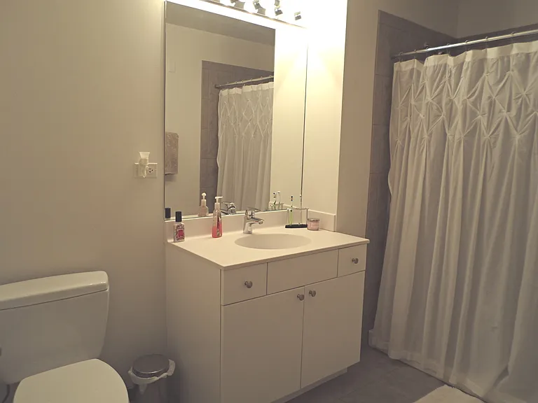 235 W Van Buren St #4007 — Photo 5