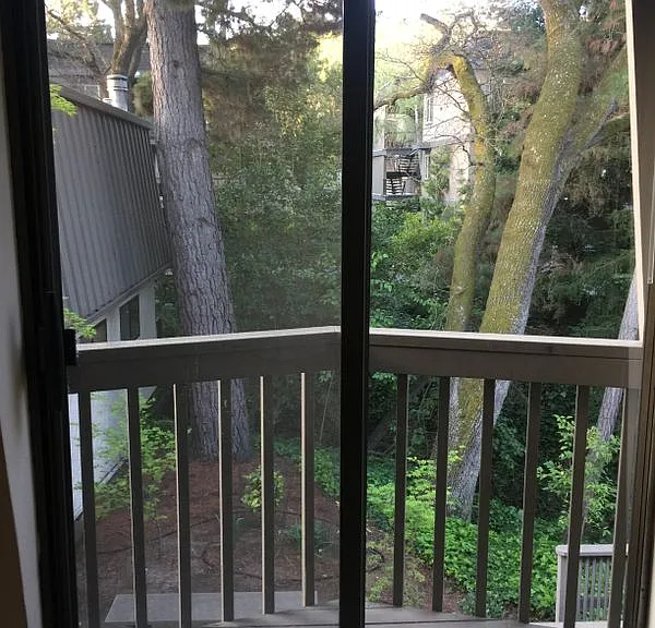 917 Hough Ave #9 — Photo 46