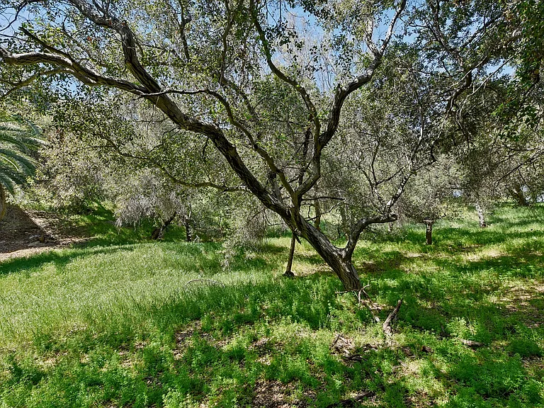 6317 Monterey Rd — Photo 33