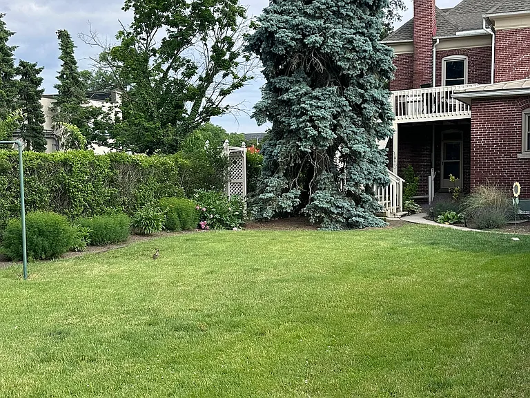 Common Outdoor Space