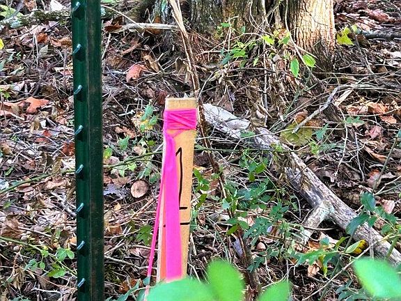 3rd image of Pleasant Hill Rd #1