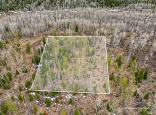 18 Sky Hitch #IV, Oak Creek, CO 80467