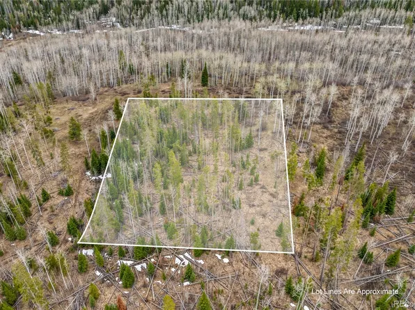 Lot 18 Sky Hitch IV, Oak Creek, CO 80467