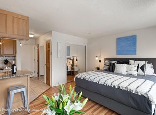725 E Main St #304, Aspen, CO 81611