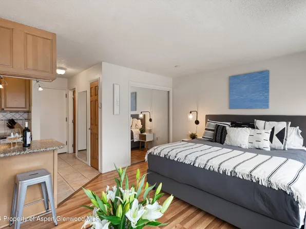 725 E Main St #304, Aspen, CO 81611