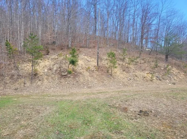 655 Drift Creek Rd, Genoa, WV 25517