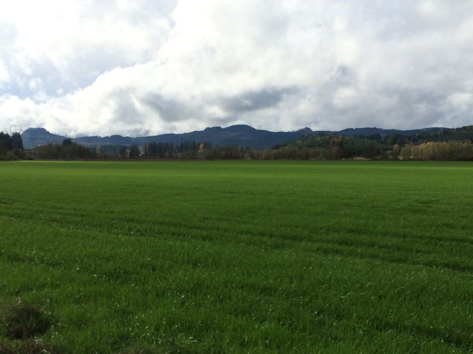 1st image of 29340 Santiam Hwy