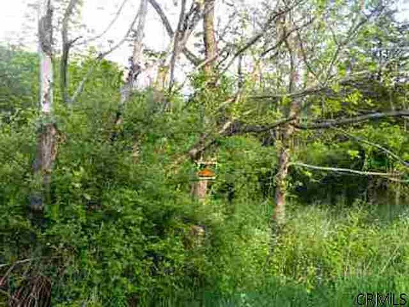 3rd image of ANTHONY Avenue