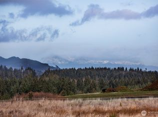 13907 Quiet Waters Ln SW, Rochester, WA 98579