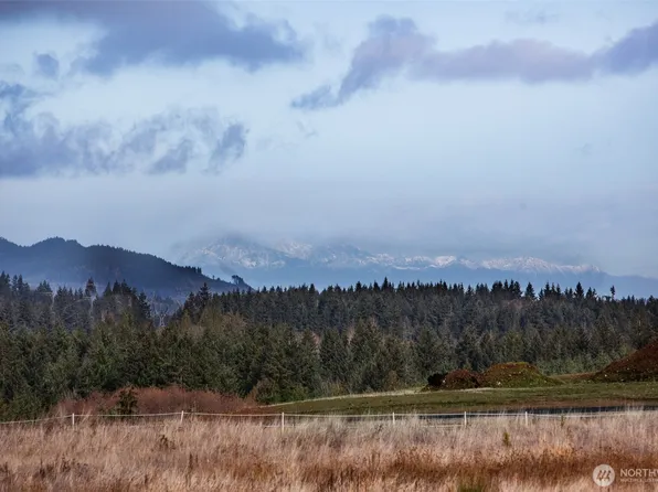 13907 Quiet Waters Lane SW, Rochester, WA 98579