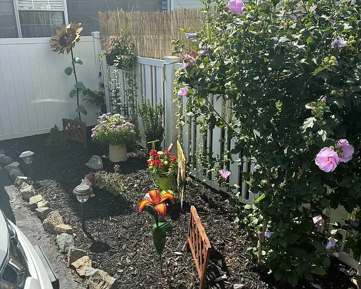 Flower backyard