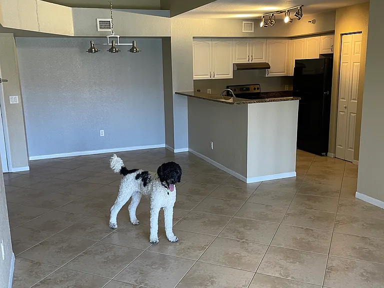 127 Yacht Club Way #307 — Photo 3
