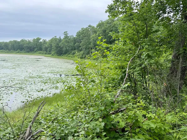 State Highway 84, Longville, MN 56655