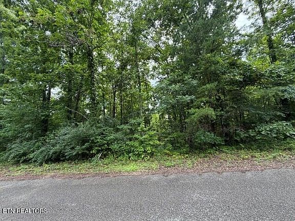 4th image of Saddleridge Dr