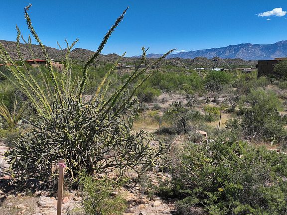 3rd image of 1079 W Tortolita Mountain Cir #170