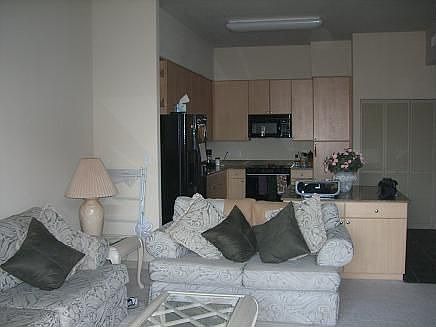 Living Room Kitchen View