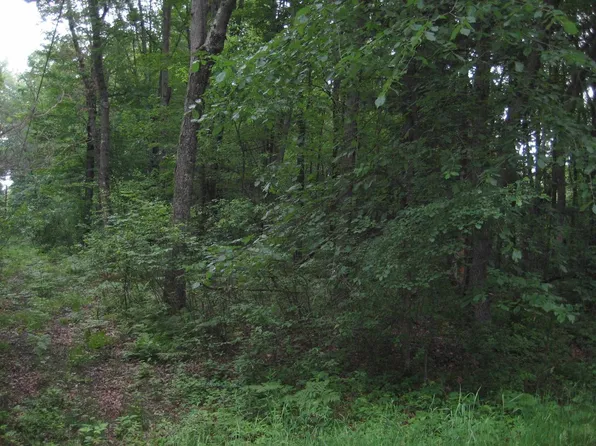 Lot 4 ALGOMA STREET #Badger Avenue, Stevens Point, WI 54482