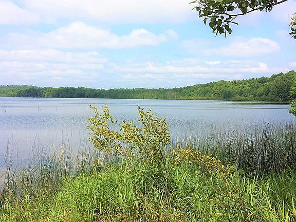Halsey Lake 3 of 3