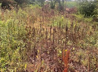 Windy Ridge Rd, North Wilkesboro, NC 28659