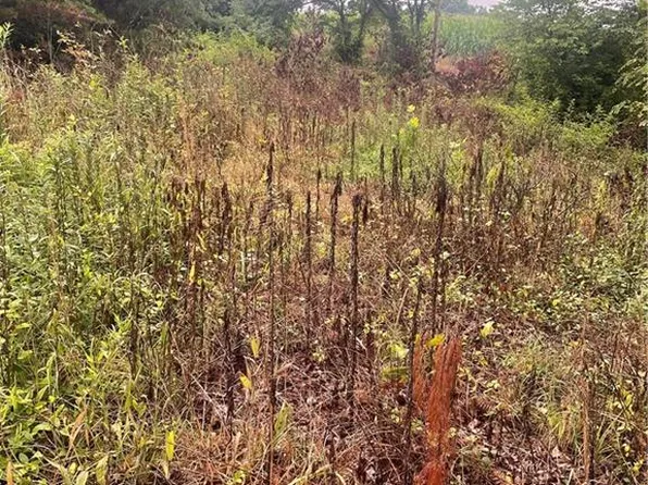 Windy Ridge Rd, North Wilkesboro, NC 28659