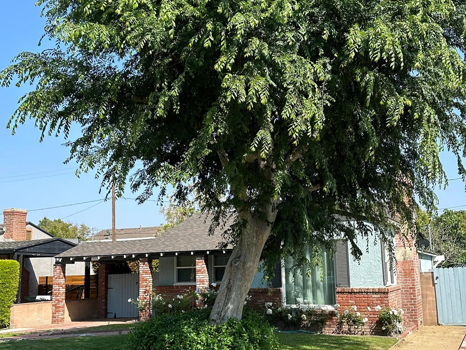 3 bed, 1309 sqft, $5,100 — Photo 2