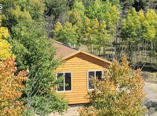 61 Garnet Ln, Lake George, CO 80827