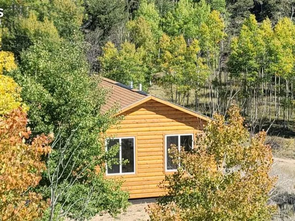 61 Garnet Ln, Lake George, CO 80827