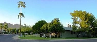 Curb / Camelback views