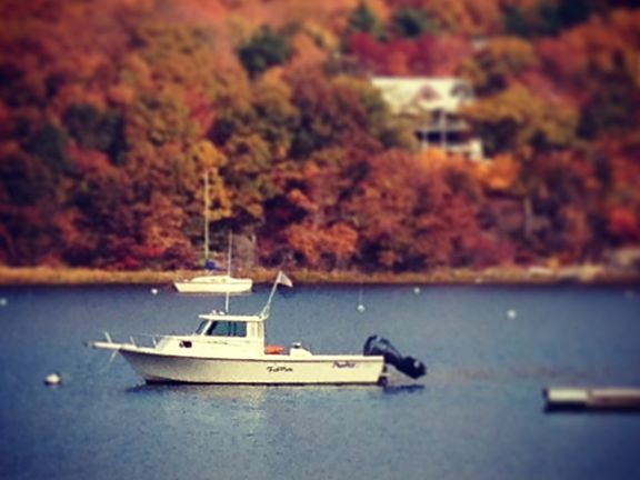 Moor your boat at HBCA