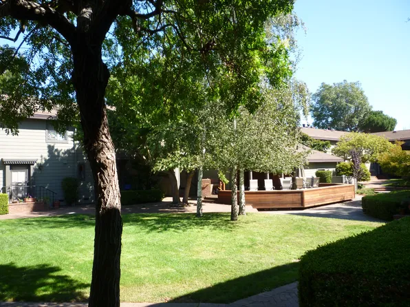 45 Ashford Ave, Mill Valley, CA 94941