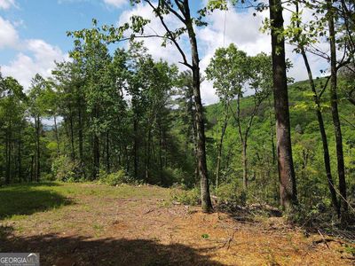 Ralston Creek Trl, Ellijay, GA, 30536
