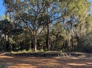 NE 135th Ave LOT 25, Fort Mc Coy, FL 32134