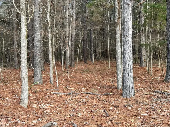 Turner Waterfront Rd, Aliceville, AL 35442