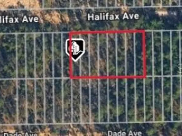 HALIFAX AVE LOT 15, INTERLACHEN, FL 32148