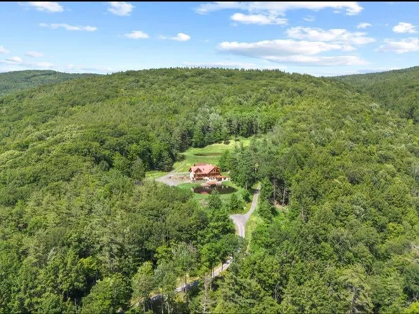 124 Pumpkin Rd, Middleburgh, NY 12122