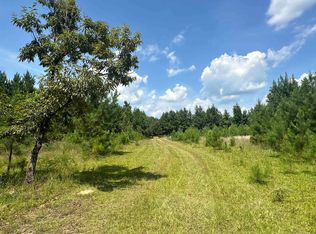 Tbd Cantley Landing Rd, Andrews, SC 29510